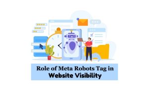 Role-of-Meta-Robots-Tag-in-Website-Visibility