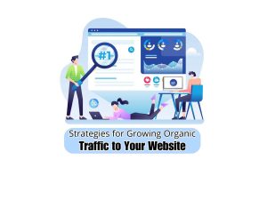 Strategies-for-Growing-Organic-Traffic-to-Your-Website